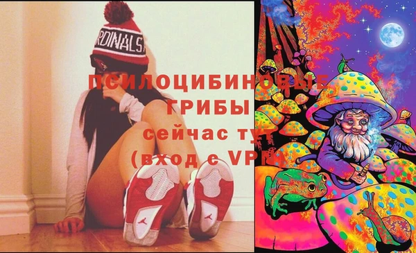 амф Абаза