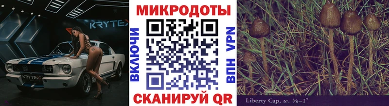 Псилоцибиновые грибы мухоморы  где купить   Торопец 